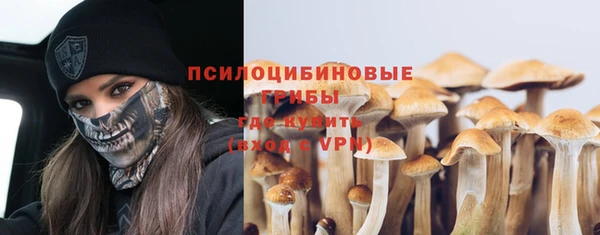 спиды Алексин